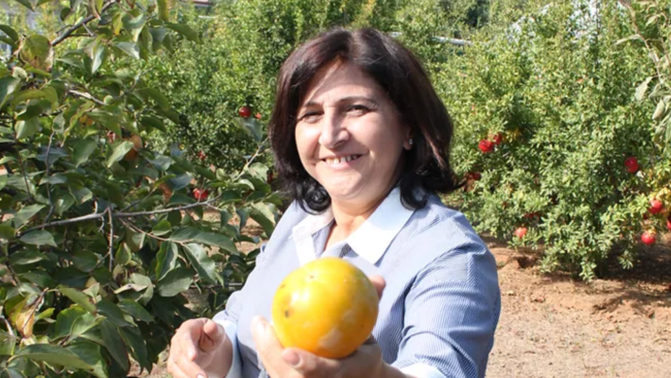 Anaokulunda çiftlik hayatı